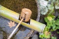 Japanese wooden purification dipper in a chozubachi or water basin used to rinse the hands in Japanese temples Royalty Free Stock Photo