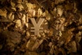 Yen or Yuan Currency Symbol on Autumn Leaves in Late evening Sun