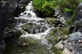 Japanese zen garden waterfall with duck Royalty Free Stock Photo