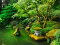 Japanese Zen Lake, Botanical Garden, Feng Shuei Royalty Free Stock Photo