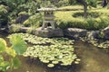 Japanese zen pond Royalty Free Stock Photo