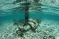 Japanese Zero Plane Underwater Royalty Free Stock Photo