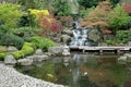Japaness Garden