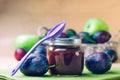 Jar with baby food plum puree with spoon near fresh plums Royalty Free Stock Photo