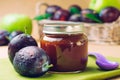 Jar with baby food plum puree with spoon near fresh plums Royalty Free Stock Photo