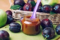 Jar with baby food plum puree with spoon near fresh plums Royalty Free Stock Photo