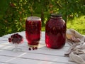 Jar of cherry compote on garden background Royalty Free Stock Photo