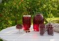 Jar of cherry compote on garden background Royalty Free Stock Photo