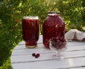 Jar of cherry compote on garden background Royalty Free Stock Photo