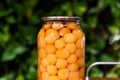 Jar of cherry plum compote close view Royalty Free Stock Photo