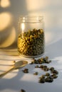 A jar of coffee beans spilled out with wooden spoon on white background, studio shoot indoors day time. Royalty Free Stock Photo