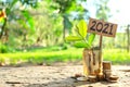 Jar of coins on soil with growing plant beside a 2021 sign. Start wise by investing or grow money in business on year 2021 concept Royalty Free Stock Photo