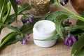 A jar of comfrey cream with fresh symphytum plant Royalty Free Stock Photo