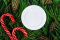 Jar cream on the background of spruce branches. Mockup for your label. Natural cosmetics