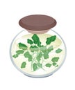 A Jar of Delicious Pickled Green Watercress