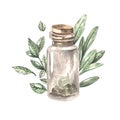 Jar with dry herbs. Watercolor hand-drawn illustration.