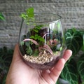 Jar of ecos