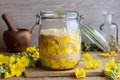 Preparation of mullein syrup from fresh mullein flowers