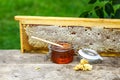Jar of fresh honey with assorted tools for beekeeping, a wooden dispenser and tray of honeycomb from a bee hive in a still life on