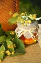 Jar full of delicious fresh honey linden flowers and honeycomb frame Royalty Free Stock Photo