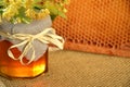 Jar full of delicious fresh honey linden flowers and honeycomb frame Royalty Free Stock Photo