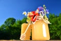 Jar full of delicious fresh honey, piece of honeycomb honey dipper and wild flowers in apiary