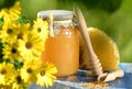 Jar full of delicious honey, honeycomb and bee pollen