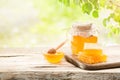 Jar full of fresh honey and honeycombs Royalty Free Stock Photo