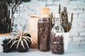 Jar of glass with a Wine corks lid with Coffee beans on old wooden Counter Royalty Free Stock Photo