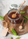 Jar of homemade jam from young fir buds, needles and nature sugar with wooden honey spoon. Royalty Free Stock Photo