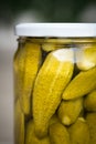 Jar of homemade Pickled Gherkins Royalty Free Stock Photo