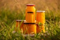 Jar of honey on the background of nature. food sunlight Royalty Free Stock Photo