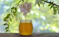 Jar of honey with flowers of acacia
