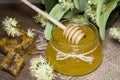 Jar with honey, honeycomb with pollen and linden flowers Royalty Free Stock Photo