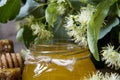 Jar with honey, honeycomb with pollen and linden flowers Royalty Free Stock Photo