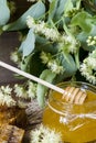 Jar with honey, honeycomb with pollen and linden flowers Royalty Free Stock Photo