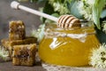 Jar with honey, honeycomb with pollen and linden flowers Royalty Free Stock Photo