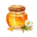 jar of honey. illustration on the theme of beekeeping, farming, natural products