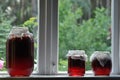 Jar, jars of jam with red currants standing on the windowsill in the farmhouse. View of the garden Royalty Free Stock Photo