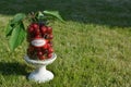 Jar of Just Picked Cherries Royalty Free Stock Photo