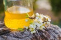 jar of liquid floral honey against background of trees. flowering plum branch near fresh honey. Healthy food concept.