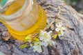 jar of liquid floral honey against background of trees. flowering plum branch near fresh honey. Healthy food concept.