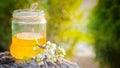 jar of liquid floral honey against background of trees. flowering plum branch near fresh honey. Healthy food concept.