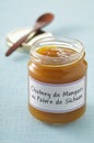 Jar of mango and Sechuan pepper chutney Royalty Free Stock Photo