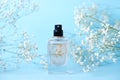 A jar of perfume on a blue background with gypsophila