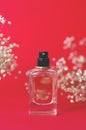 A jar of perfume on a red background with gypsophila