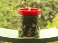 Jar of pickles in the garden Royalty Free Stock Photo