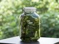 Jar of pickles on garden table Royalty Free Stock Photo