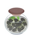 Jar of Preserved Blackberries or Blackberry Jam