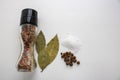 A jar of spices, Bay leaf, salt on a white background in the kitchen Royalty Free Stock Photo